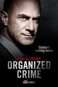 Постер к сериалу "Закон и порядок: Организованная преступность"